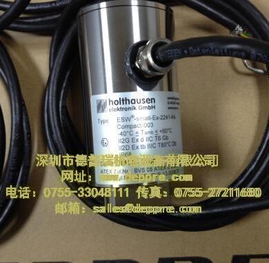 HOLTHAUSEN監視器